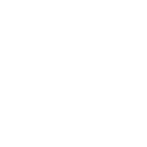 tiktok tiktok